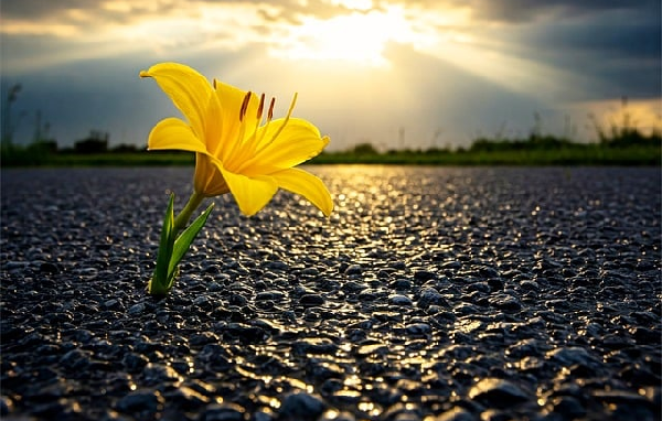 finding hope in God feature